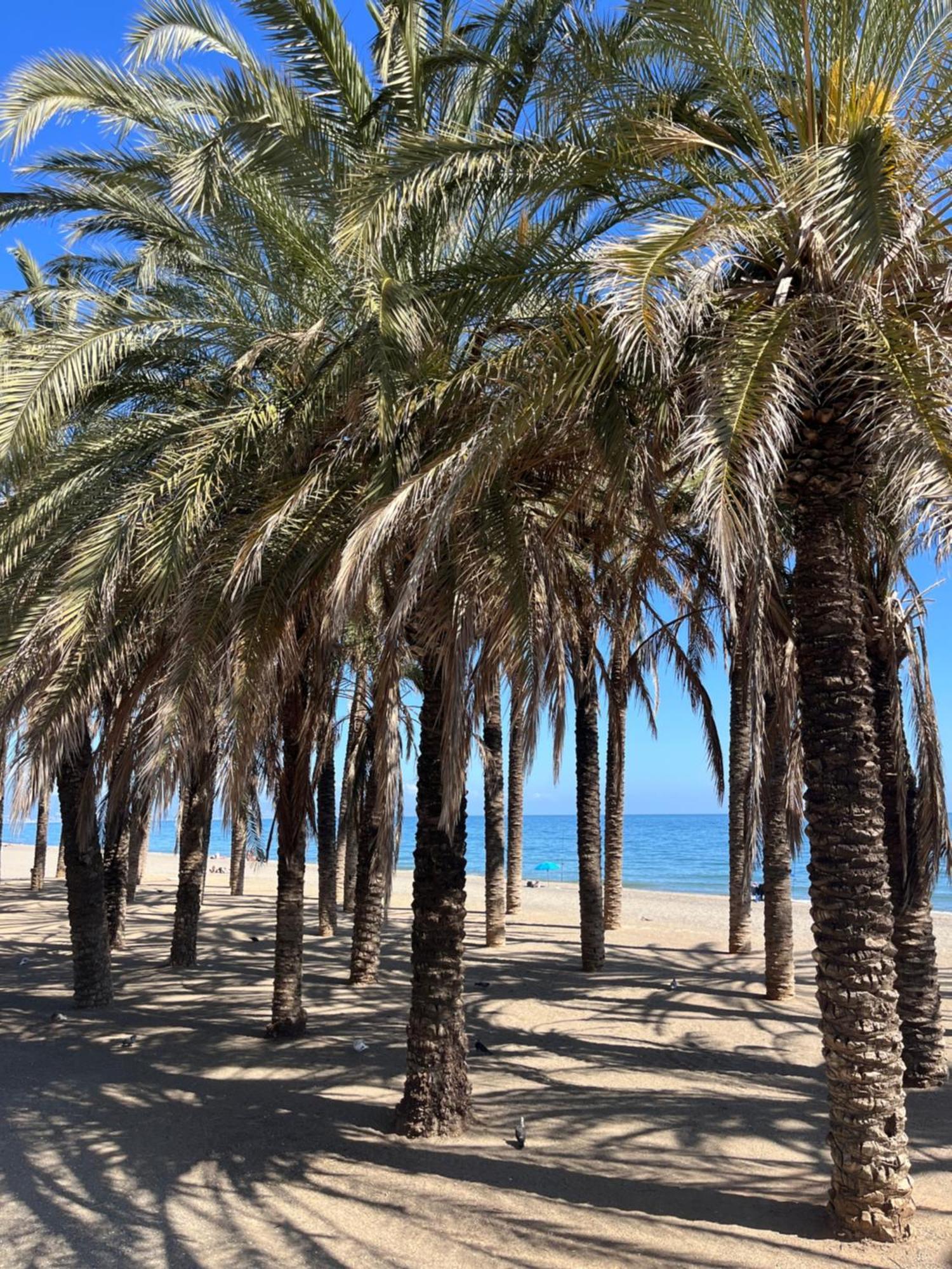 Apartamento Azul Torremolinos Exterior foto